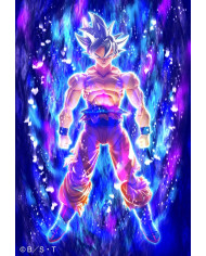 Son Goku Ultra Instinct Toyotarou Edition Dragon Ball SUPER S.H. Figuarts
