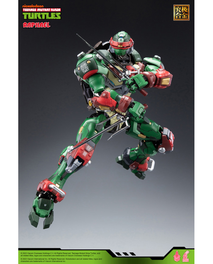 Raffaello TMNT Teenage Mutant Ninja Turtles HB0013 Heat Boys
