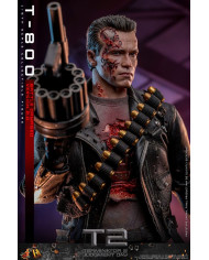Terminator 2 T-800 DX46 1/6 Battle Damaged Version 2.0 Hot Toys