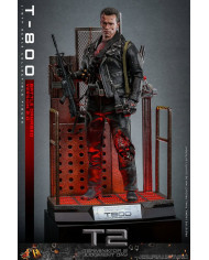 Terminator 2 T-800 DX46 1/6 Battle Damaged Version 2.0 Hot Toys