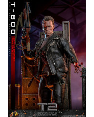Terminator 2 T-800 DX46 1/6 Battle Damaged Version 2.0 Hot Toys