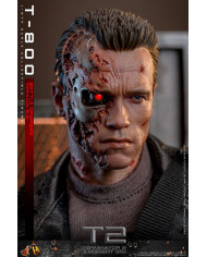 Terminator 2 T-800 DX46 1/6 Battle Damaged Version 2.0 Hot Toys